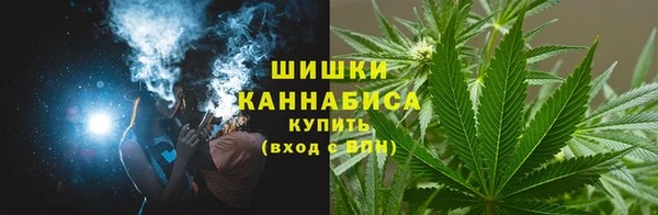 ГАЛЛЮЦИНОГЕННЫЕ ГРИБЫ Балабаново