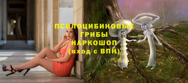 меф Переславль-Залесский