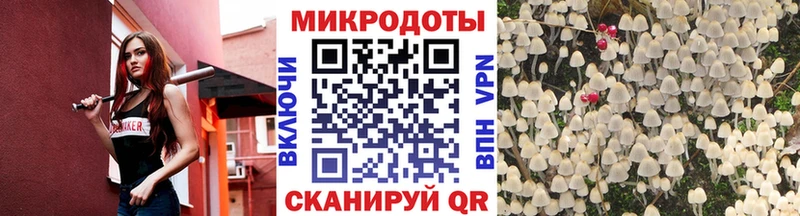Псилоцибиновые грибы GOLDEN TEACHER  купить наркоту  Нефтегорск 